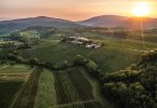 Friuli Colli Orientali Pignolo MYÒ 2015 - Zorzettig
