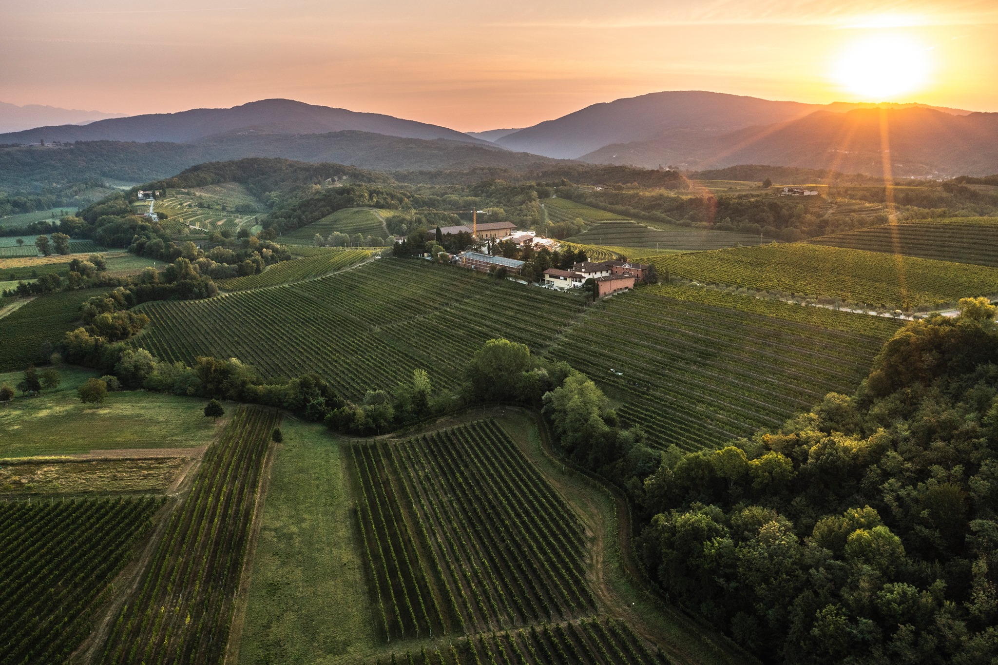 Friuli Colli Orientali Pignolo MYÒ 2015 - Zorzettig