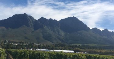 South Africa Pinotage 2020 - Cape Dreams