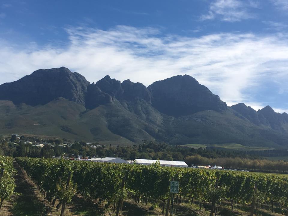 South Africa Pinotage 2020 - Cape Dreams