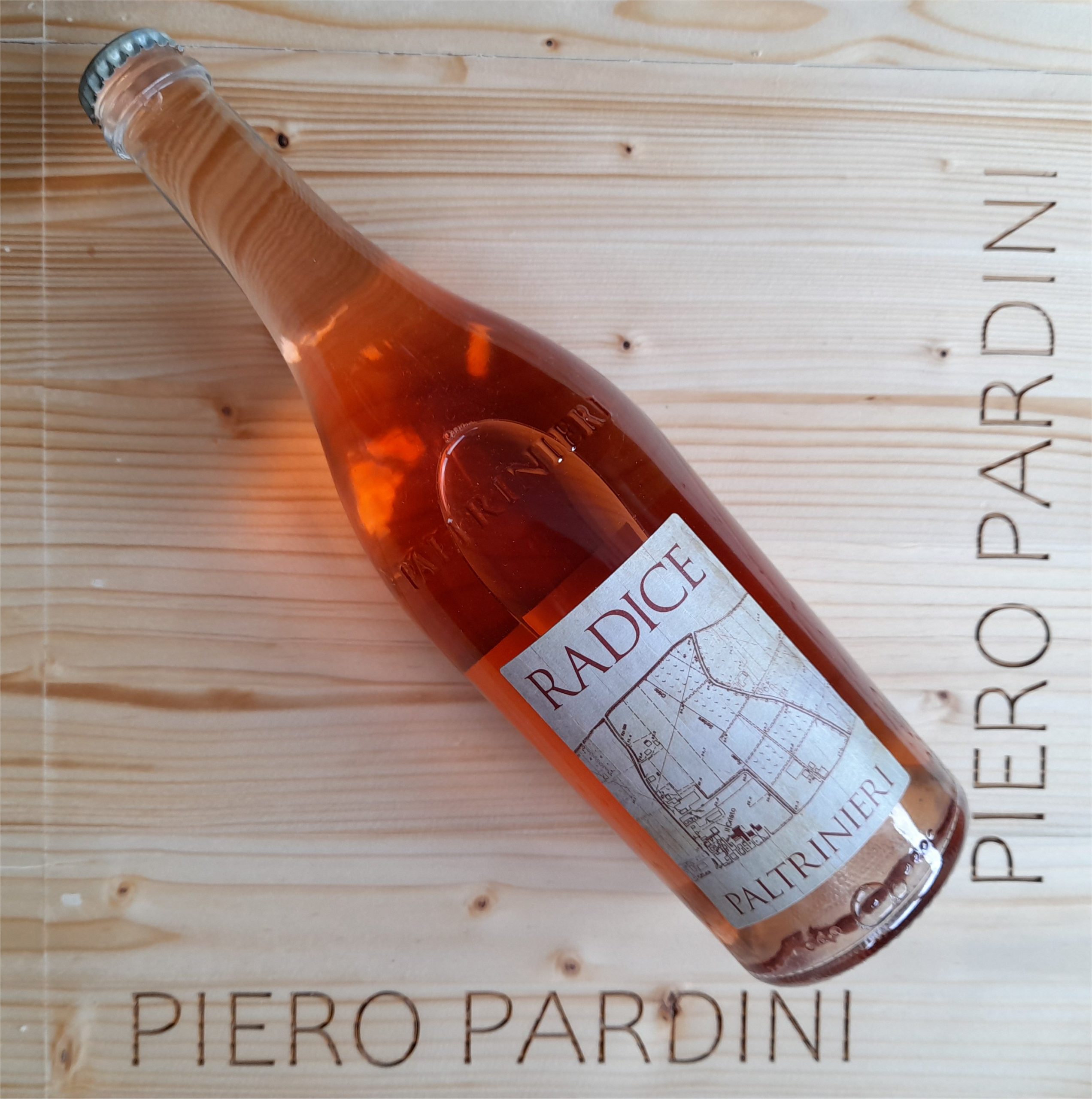 Radice Corona 2020 - Cantina Paltrinieri