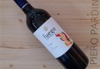 Fuego Austral Merlot 2019 - Ventisquero