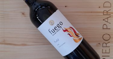 Fuego Austral Merlot 2019 - Ventisquero