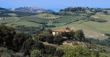 Ori Vernaccia di San Gimignano Riserva 2018 - Il Palagione