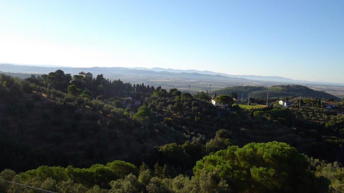 BIxBI 2016 - Terradonnà