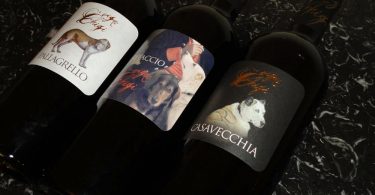 Casavecchia 2017 - Vigne Chigi