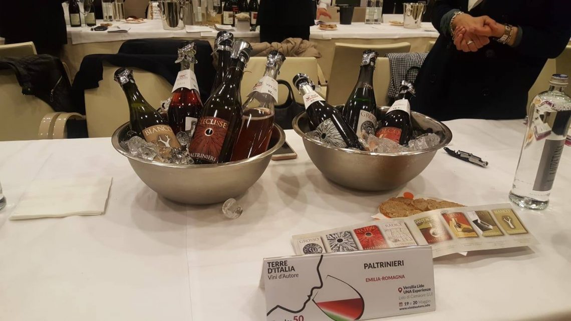 Radice 2018 - Cantina Paltrinieri