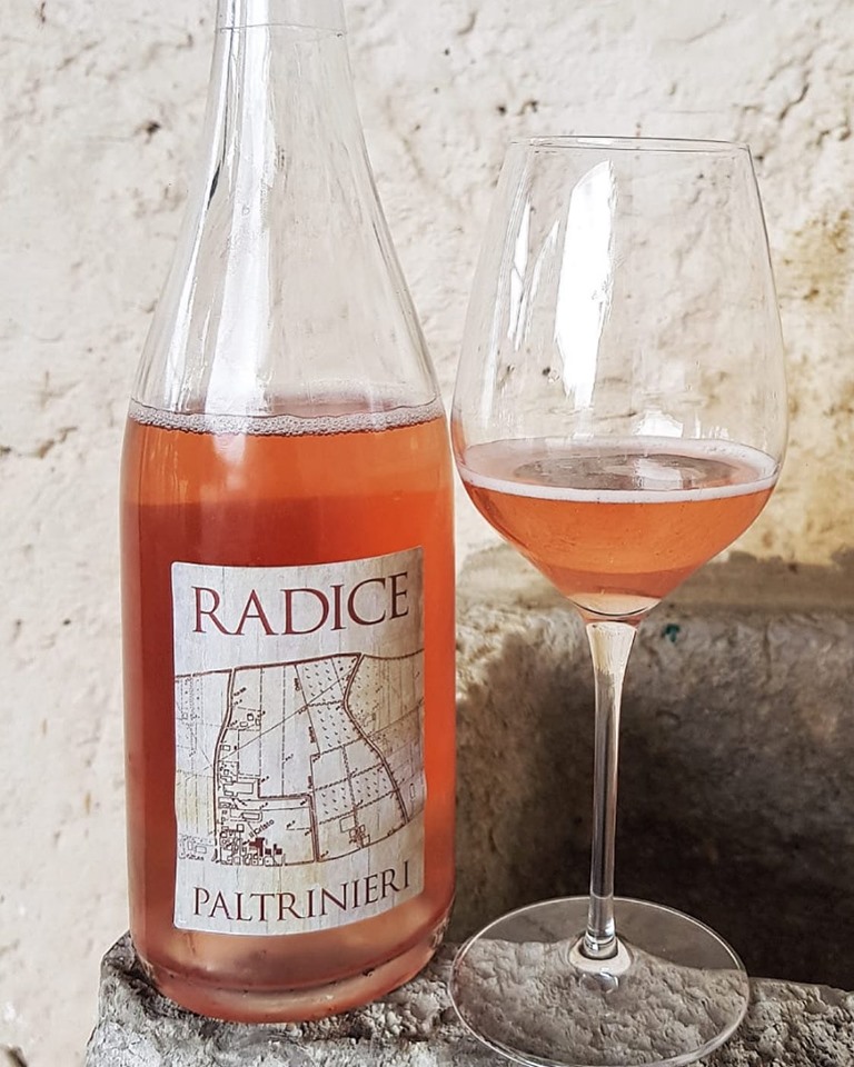 Radice 2018 - Cantina Paltrinieri