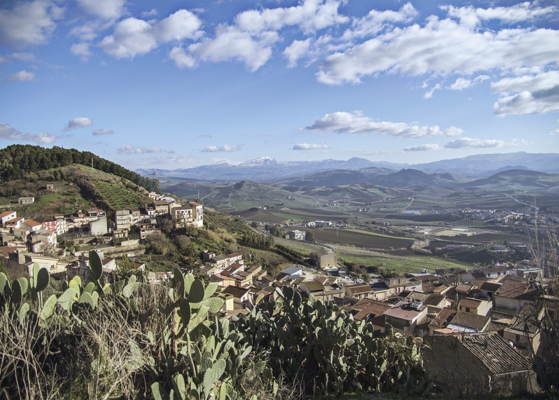 Catarratto Vigna di Mandranova 2017 - Alessandro di Camporeale