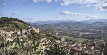 Catarratto Vigna di Mandranova 2017 - Alessandro di Camporeale