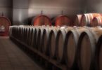 Orzalume 2017 - Castello di Corbara