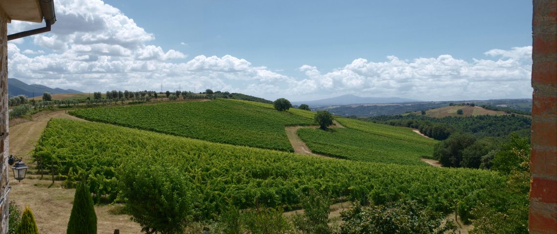 Grechetto 2018 - Castello di Corbara