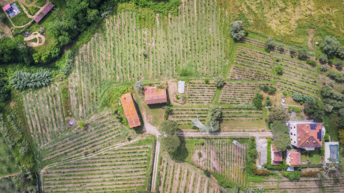 Villa Linda 2018 - La Pietra del Focolare