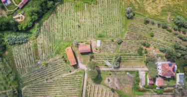 Villa Linda 2018 - La Pietra del Focolare