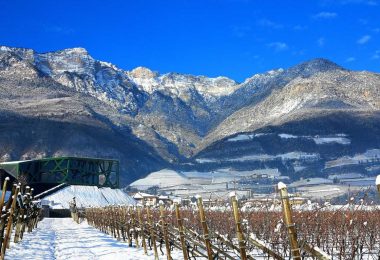 Selida 2018 - Cantina Tramin