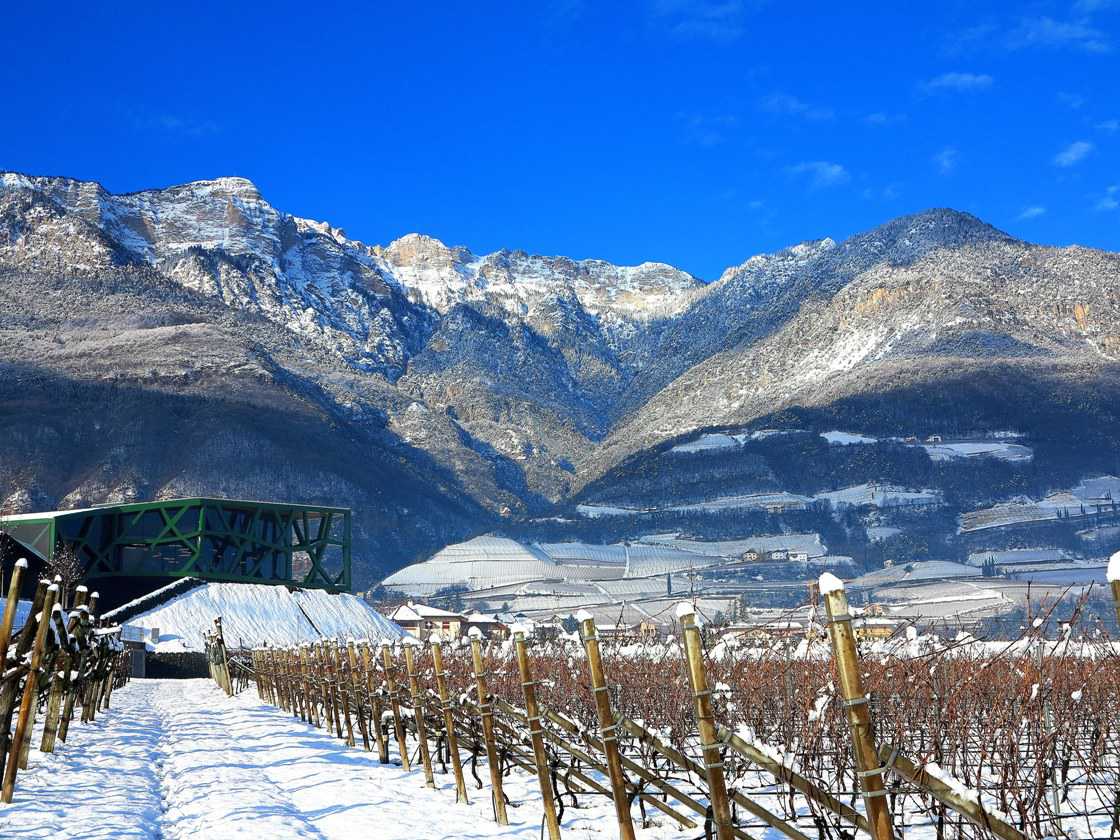 Selida 2018 - Cantina Tramin