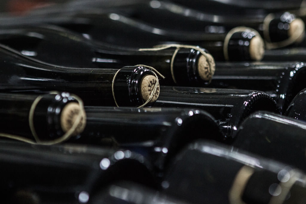 Sant'Agata 2018 - Cantina Paltrinieri
