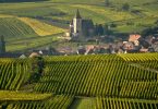 AOC Gewürztraminer 2018 - Sipp Mack