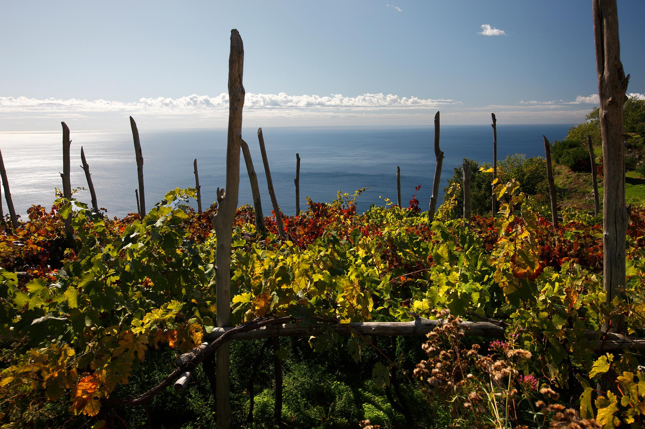 Furore Rosso Riserva 2017 - Marisa Cuomo