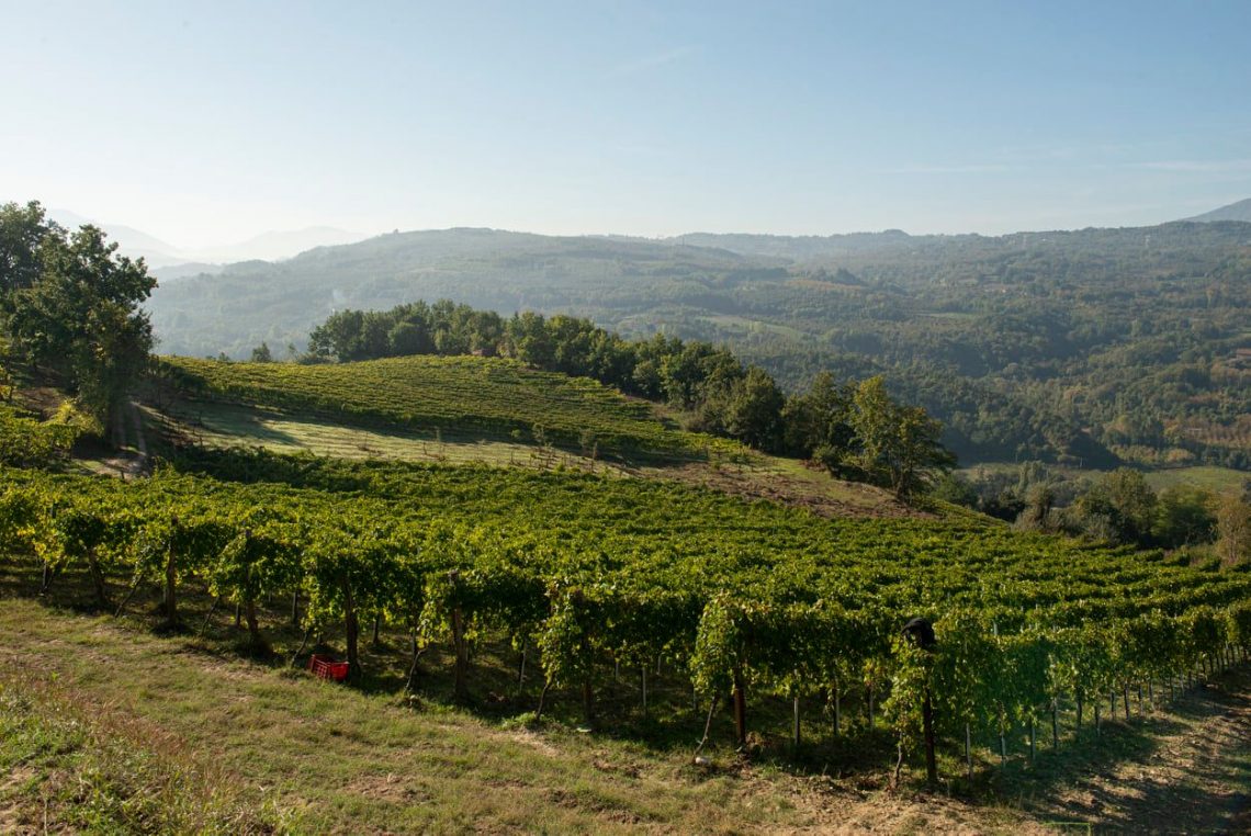 Aglianico 2017 - Terre D'Aione